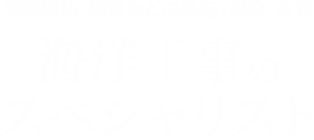 海岸堤防・岸壁などの築造・保全・改良 海洋工事のスペシャリスト